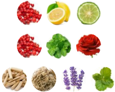 عطر کرید وایکینگ