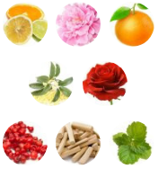 خرید عطر گوچی فلورا 