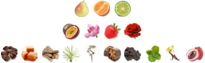 عطر لانکوم لانويت ترزور