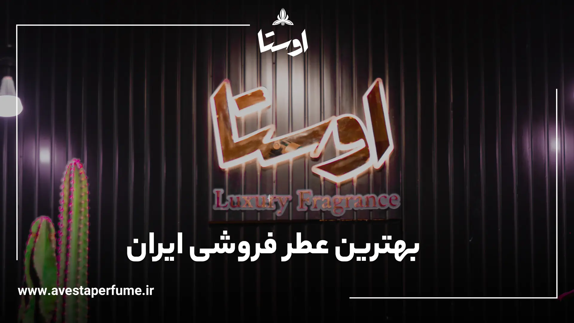 بهترین عطر فروشی ایران